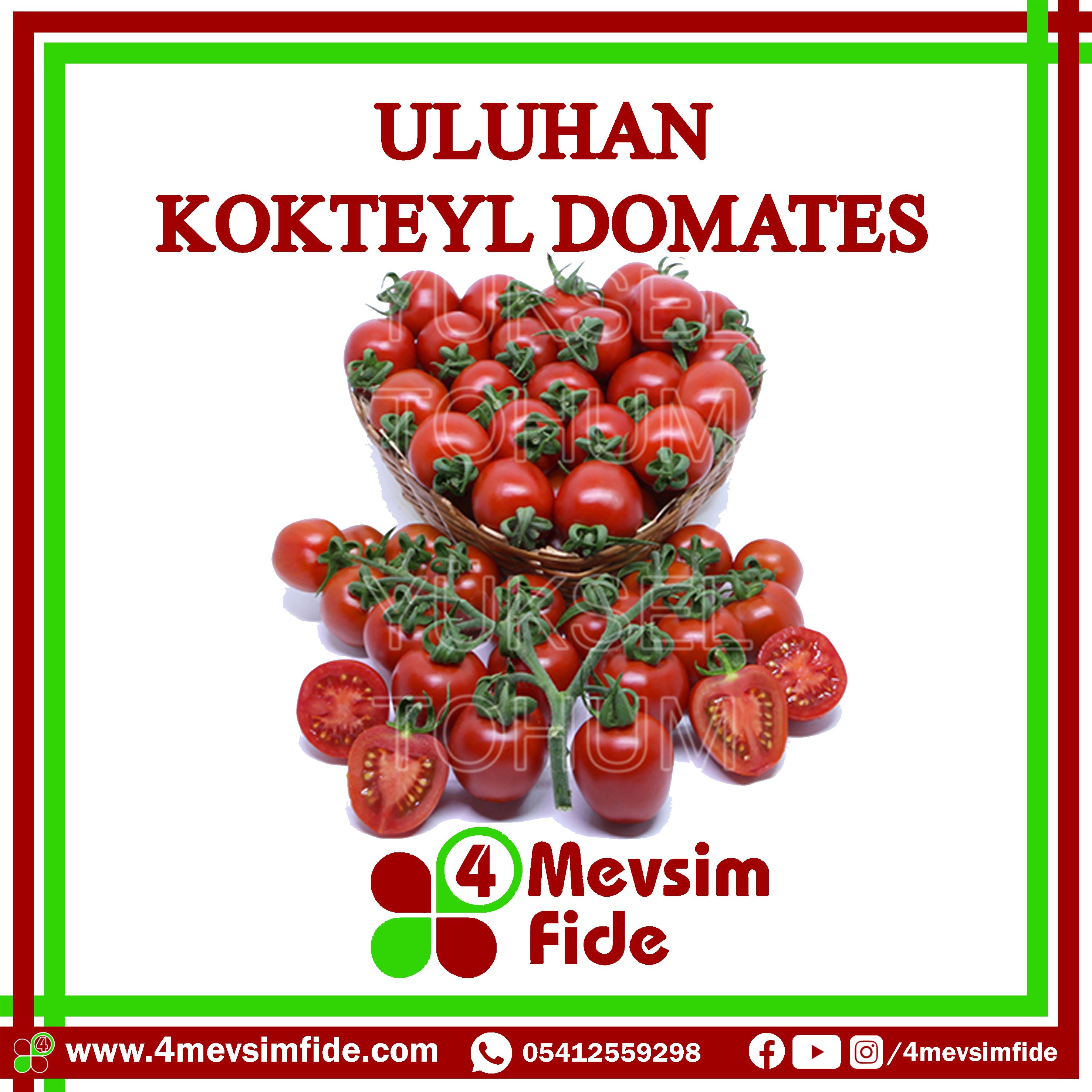 Uluhan F1 Kokteyl Domates